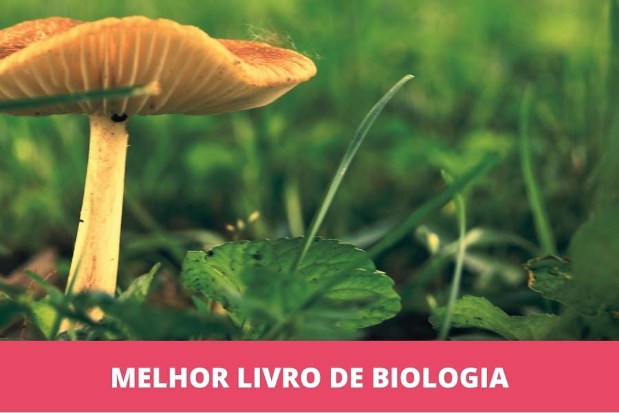 Melhor livro didático de biologia: os 5 melhores em 2023