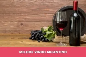 Melhor vinho argentino: os 10 melhores em 2023