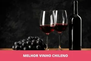 Melhor vinho chileno: os 10 melhores em 2023